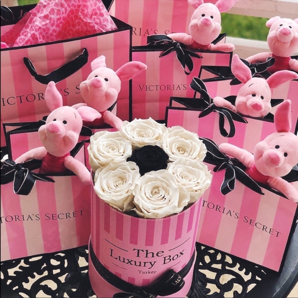 VICTORIA SECRET & VS PINK MYSTERY BOX - Picture 1 of 9